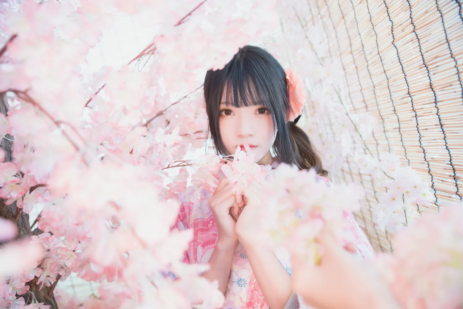 团子研究社_桜桃喵 – NO. 028-001