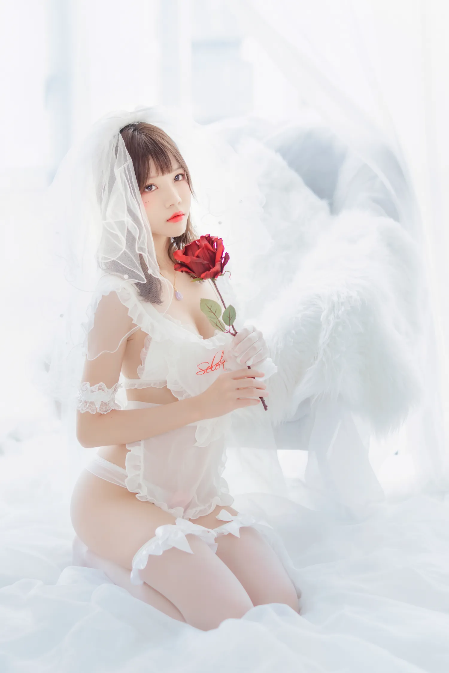 团子研究社_桜桃喵 – NO. 060-001