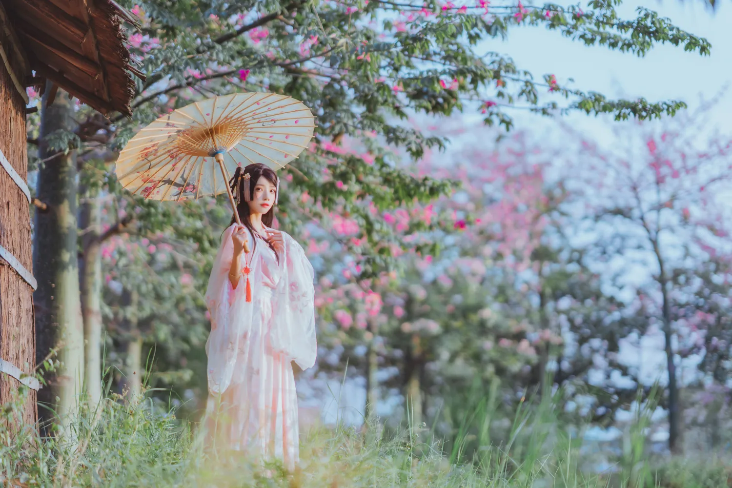 团子研究社_桜桃喵_099 – NO. 099003-003