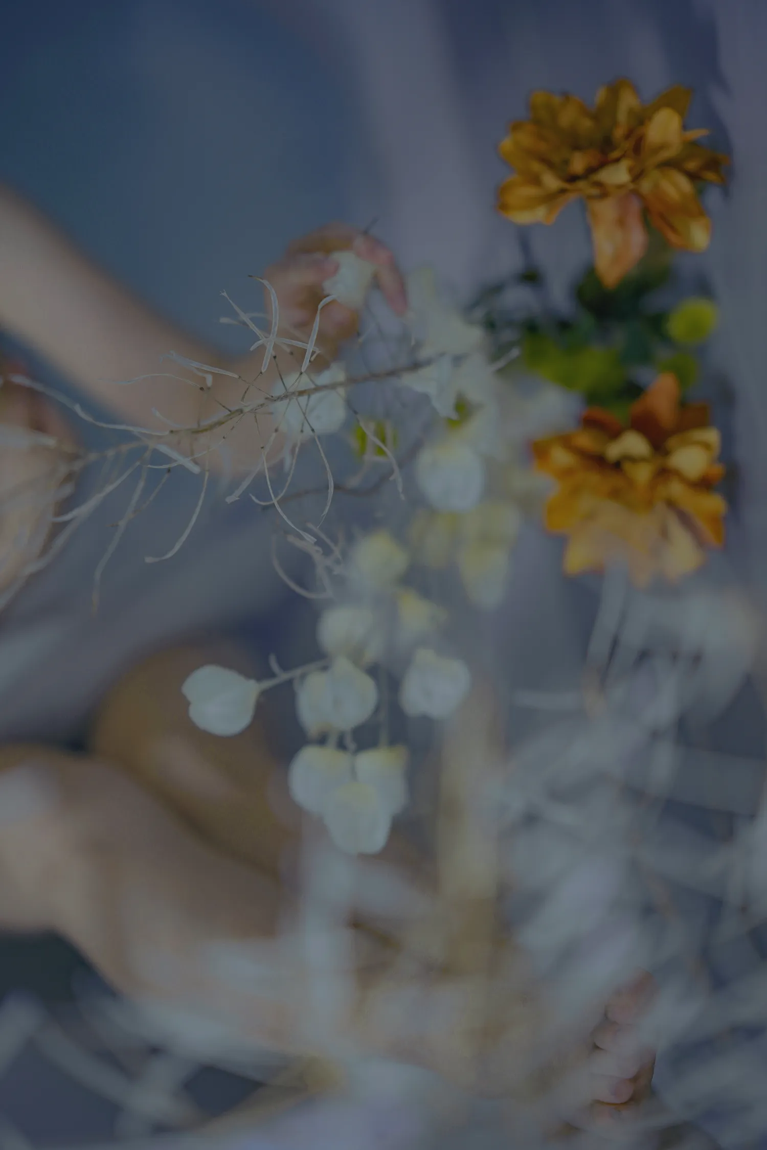 团子研究社_樱晚gigi – NO. 021-004