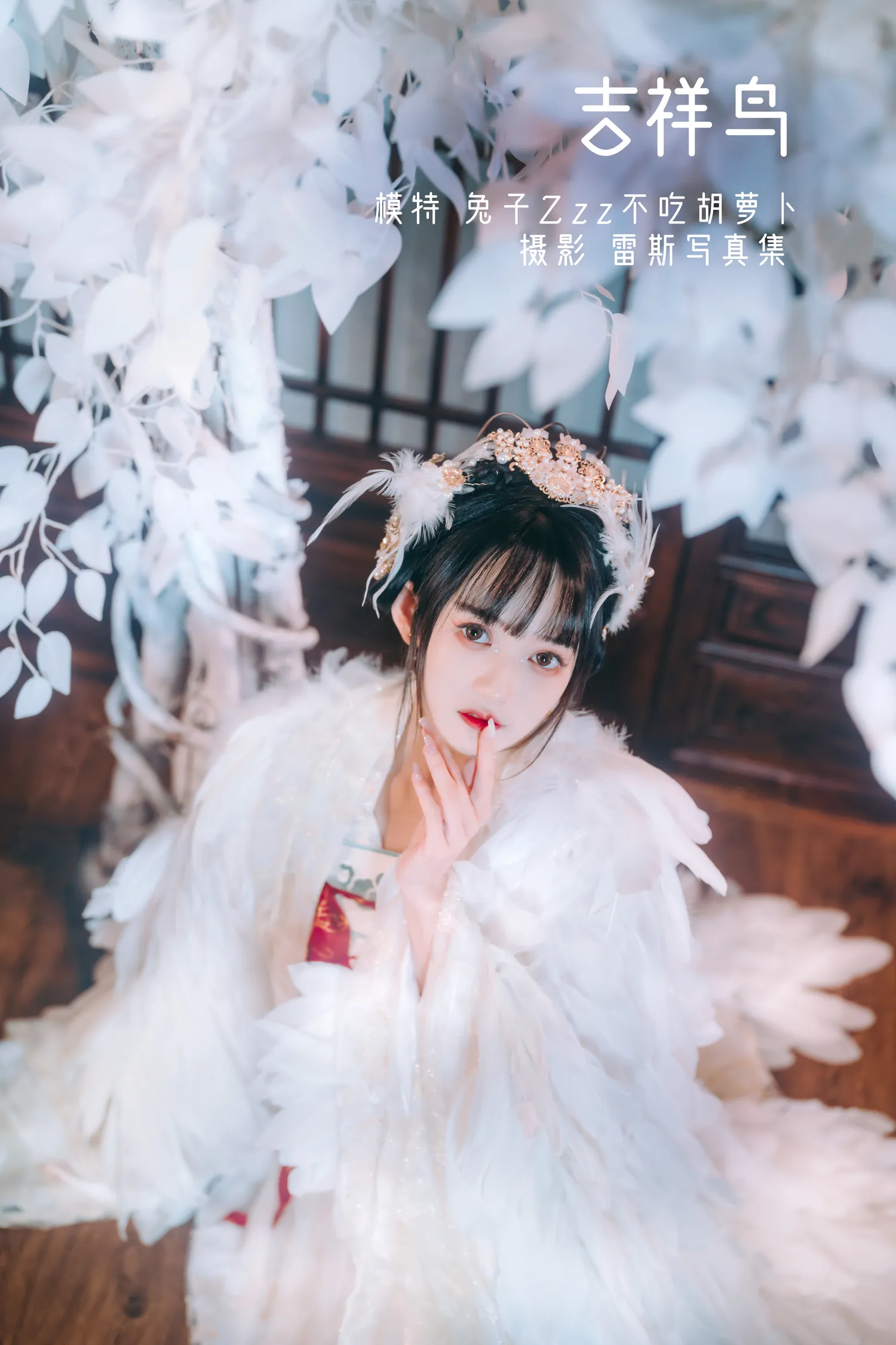 团子研究社_兔子Zzz – NO. 011-001