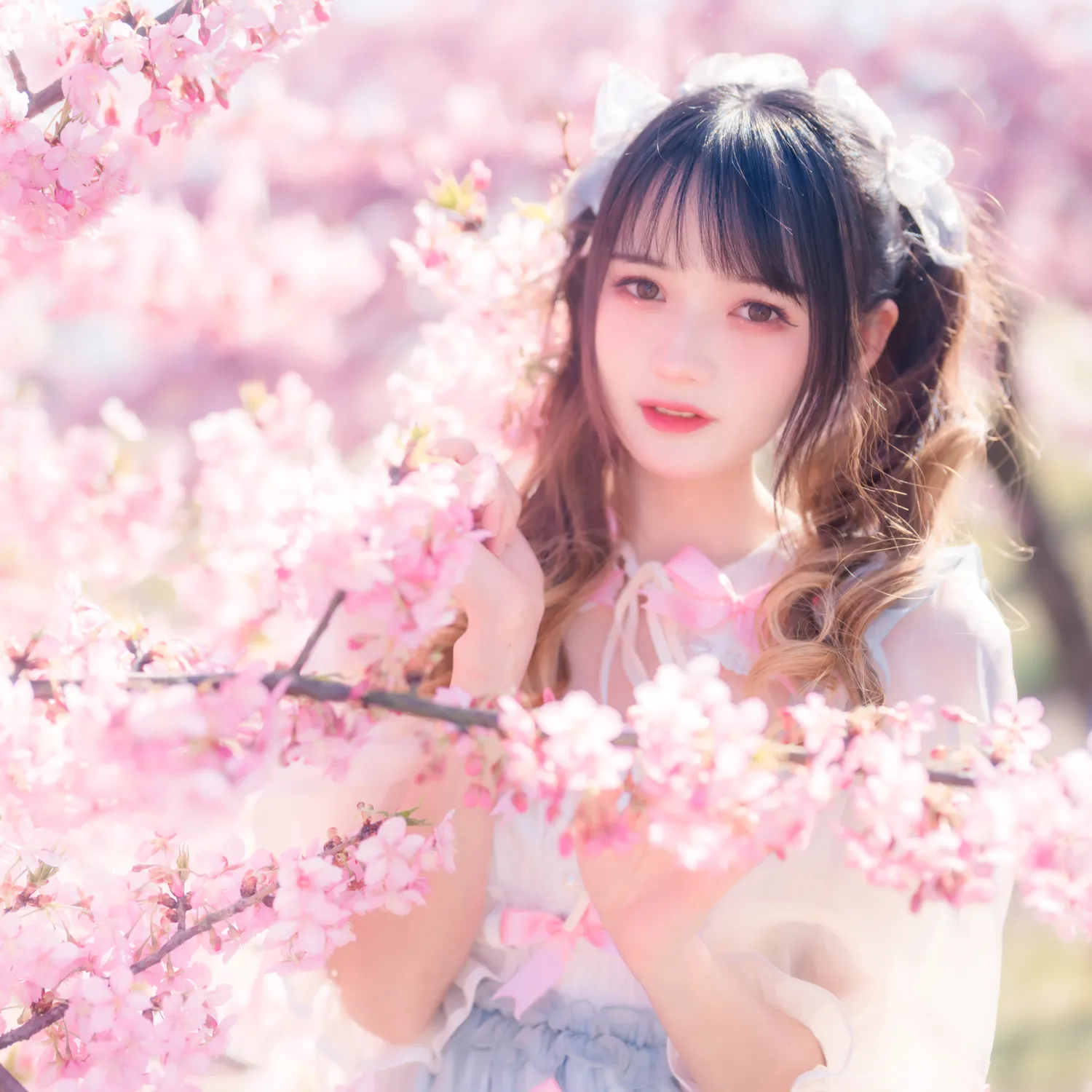 团子研究社_兔子Zzz – NO. 018-003
