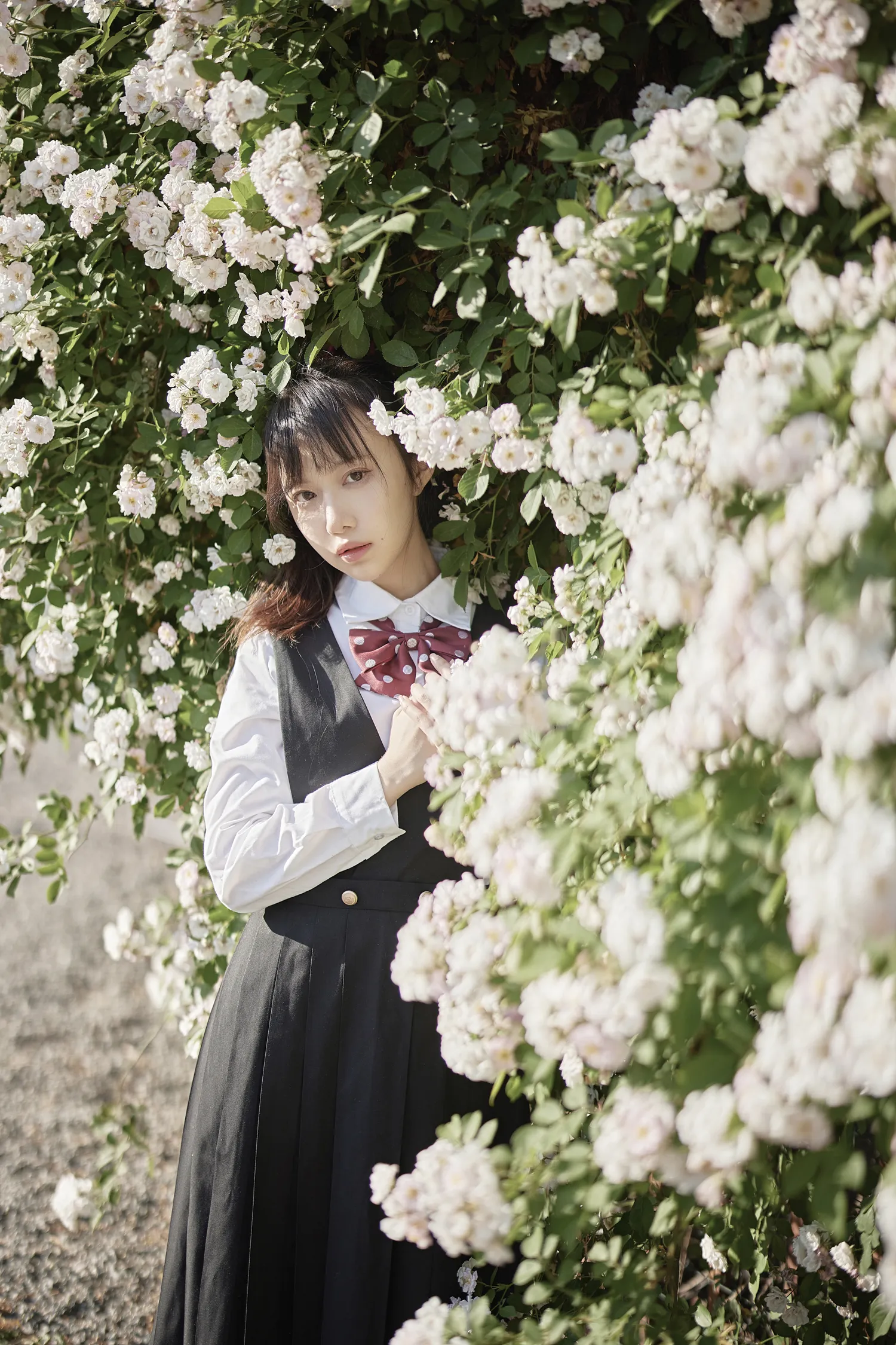 团子研究社_Shika小鹿 – NO. 084-003