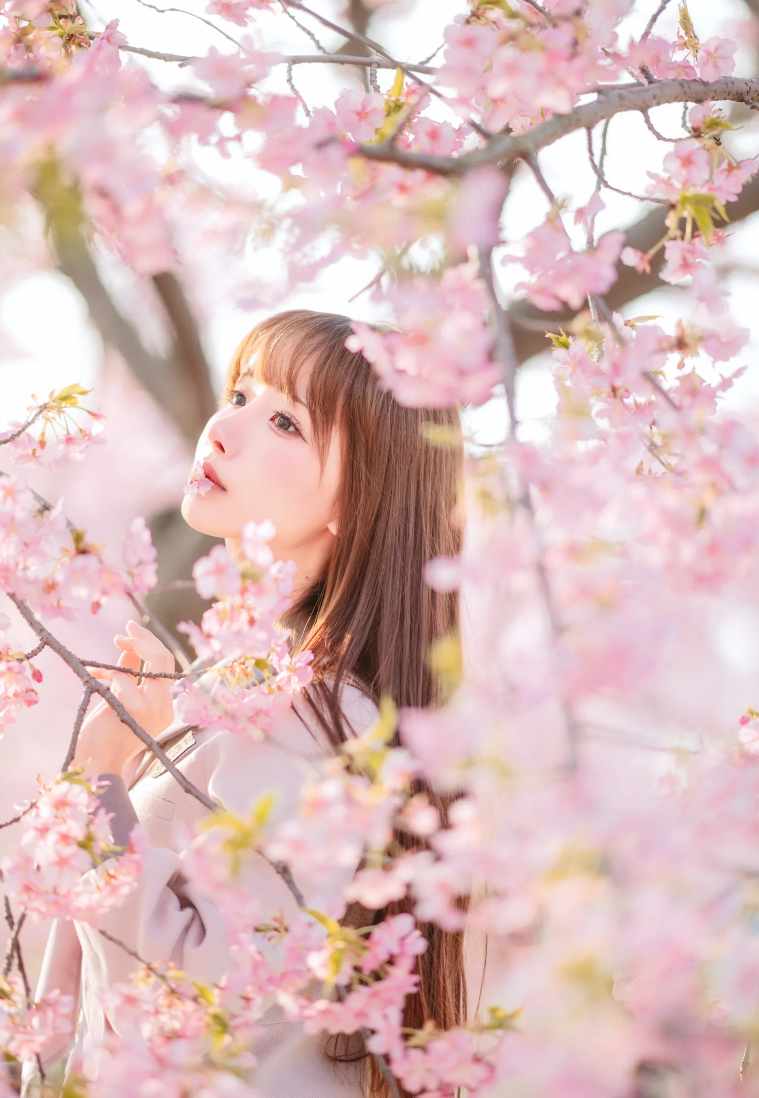 团子研究社_紫氯氯 – NO. 003-004
