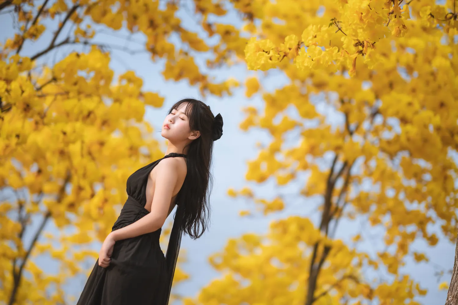 团子研究社_萌芽儿 – NO. 024-003