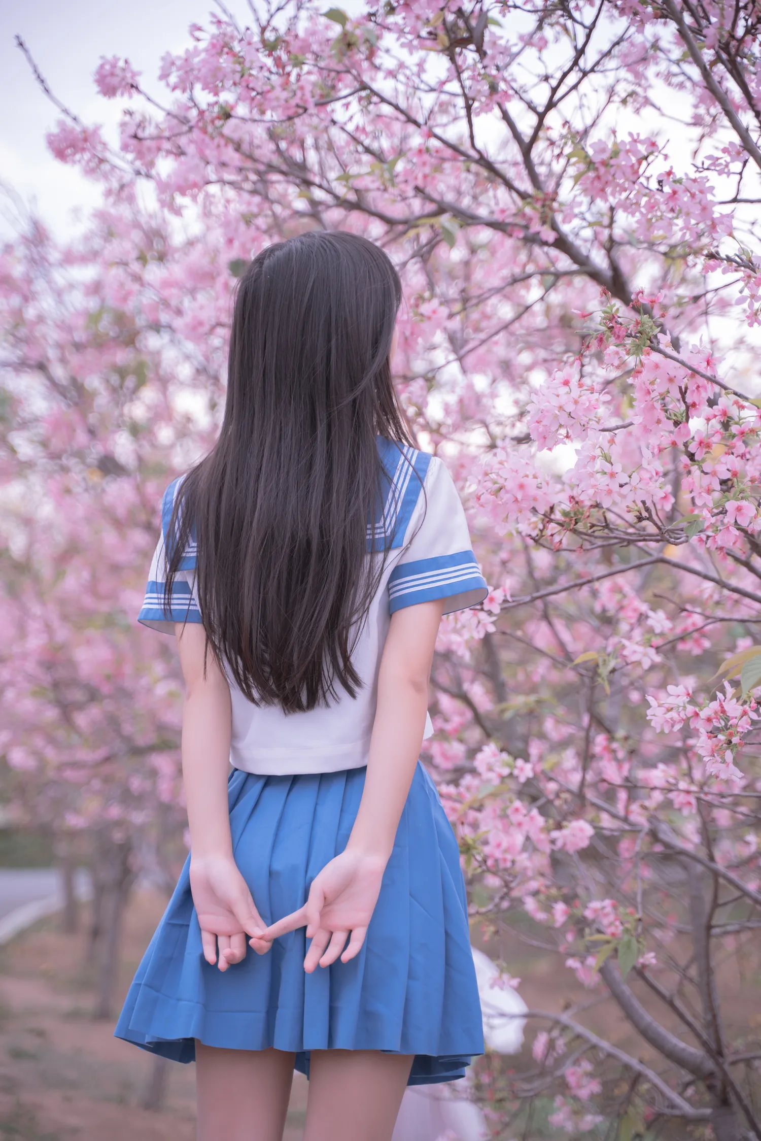 团子研究社_萌芽儿 – NO. 027-003