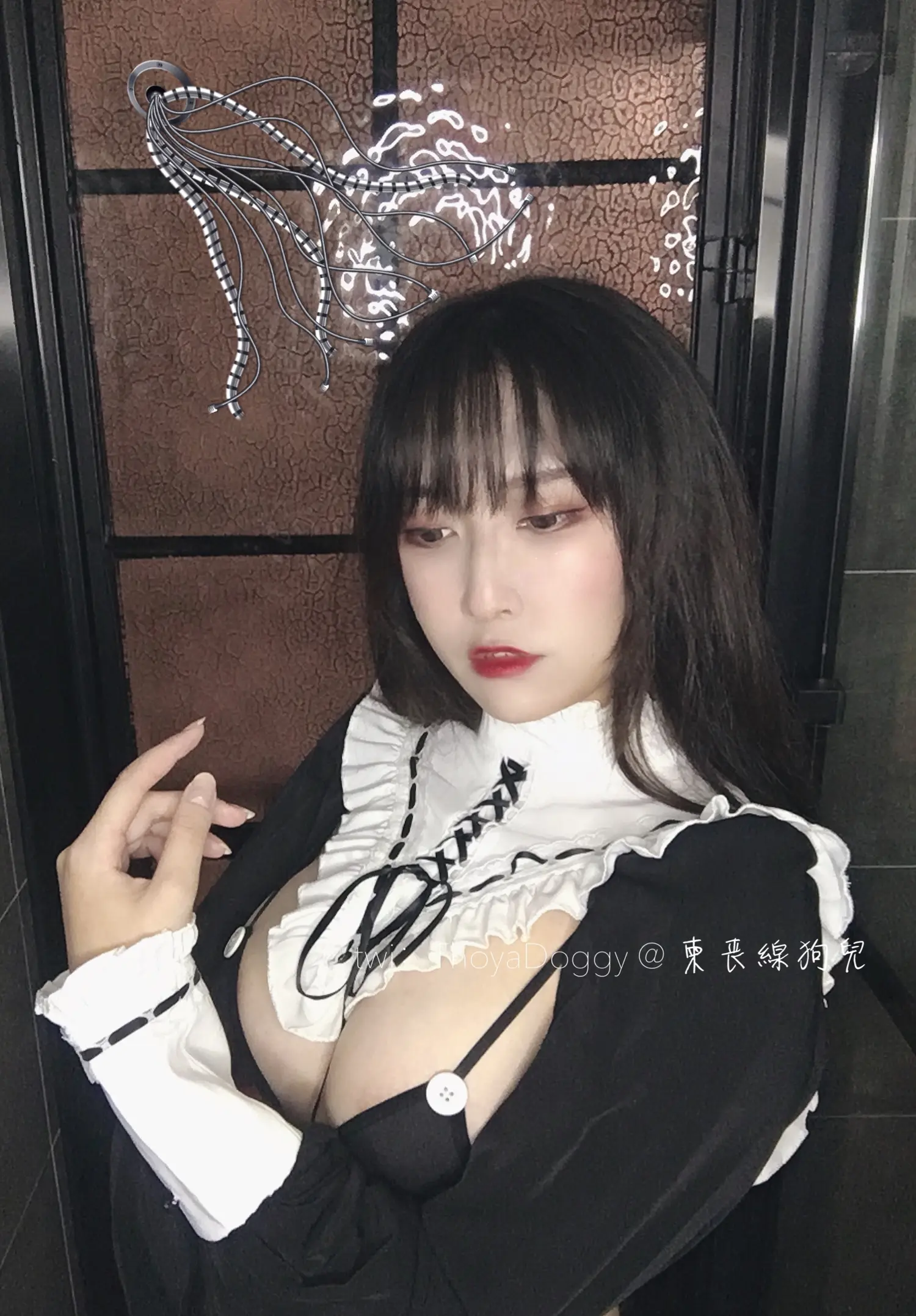 团子研究社_奇行家狗崽 – NO. 008-004