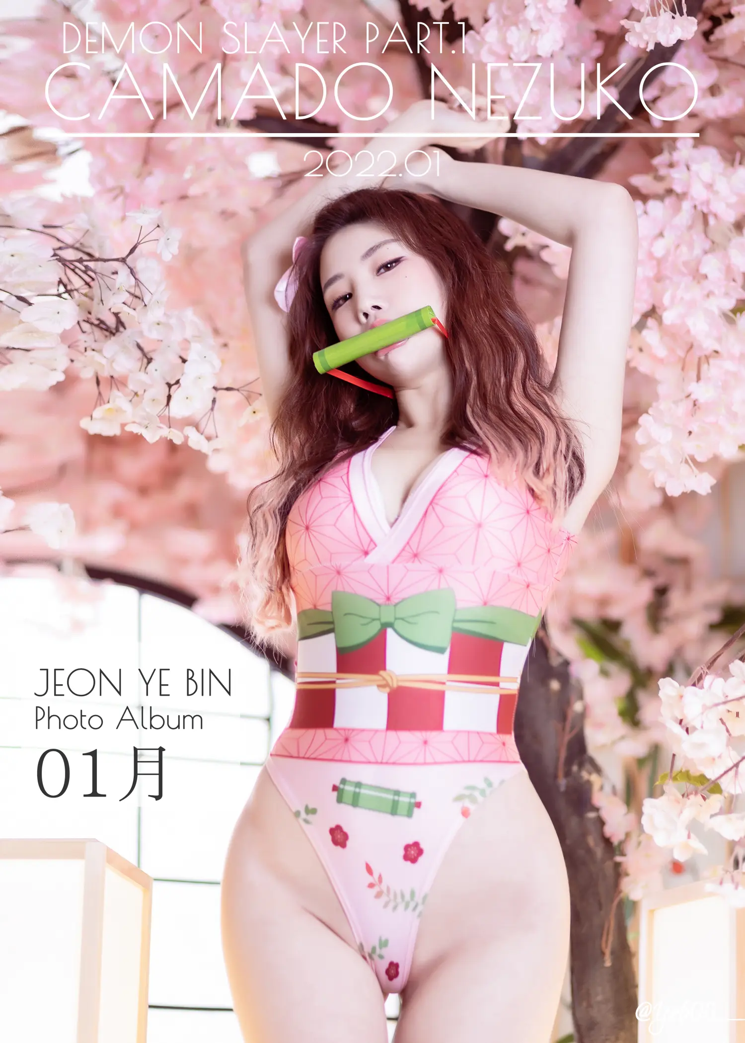 团子研究社_Yebin – NO. 011-001
