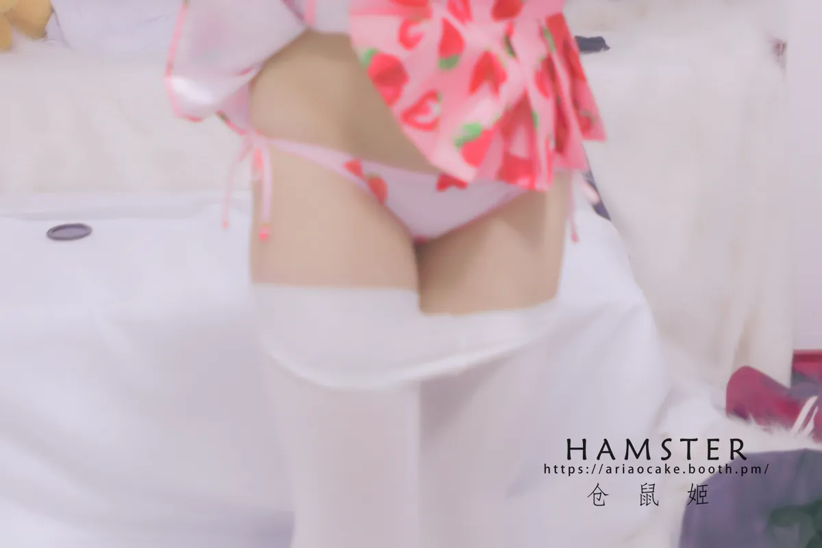团子研究社_仓鼠姬 – NO. 002-001